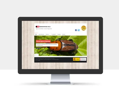 Diseño de la página web de Buenaventura Rico